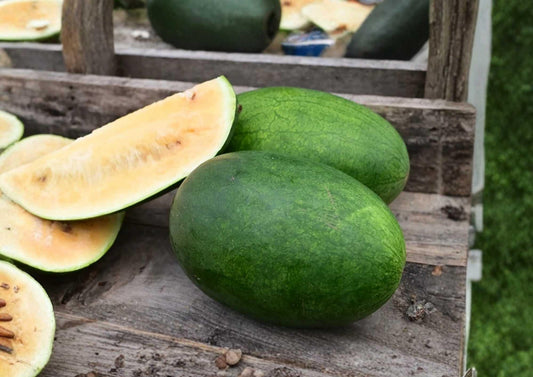Tendersweet Orange Watermelon Seeds – Heirloom Non-GMO Fruit Seeds for Garden Planting, Large Juicy Summer Melon
