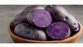 Purple Majesty Seed Potatoes – 3 Pounds, Solanum tuberosum, Purple Flesh & Skin, Garden Planting, Tuber Crop for Outdoor Cultivation