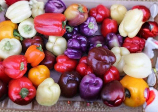 Sweet & Spicy Pepper Seeds Mix – Colorful Chili Assortment for Garden, Vegetable Seeds, High Yield, Mild to Hot Varieties