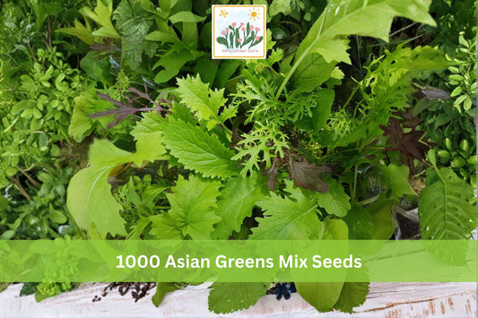 Asian Greens Mix Seeds - Microgreens & Baby Leaf Garden Pack, Leafy Vegetable Blend, Vibrant Green & Red Colors