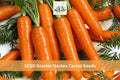 Scarlet Nantes Carrot Seeds 1000+ Daucus carota Heirloom Vegetable for Garden Beds & Containers
