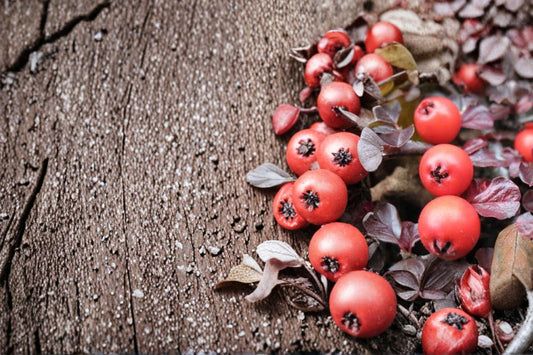 Creeping Cotoneaster Seeds – Ground Cover Shrub, Low-Growing, Deciduous, Cotoneaster adpressus, Ornamental Landscape Plant