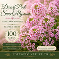 Alsike Clover Seeds (Trifolium hybridum) – 100 Pack, Pollinator-Friendly, Soil-Improving Cover Crop, Wet Soil Tolerance