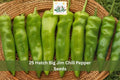 Hatch Big Jim Chili Pepper Seeds – Hot Green to Red Vegetable Seeds for Garden, Containers, Raised Beds – Capsicum annuum