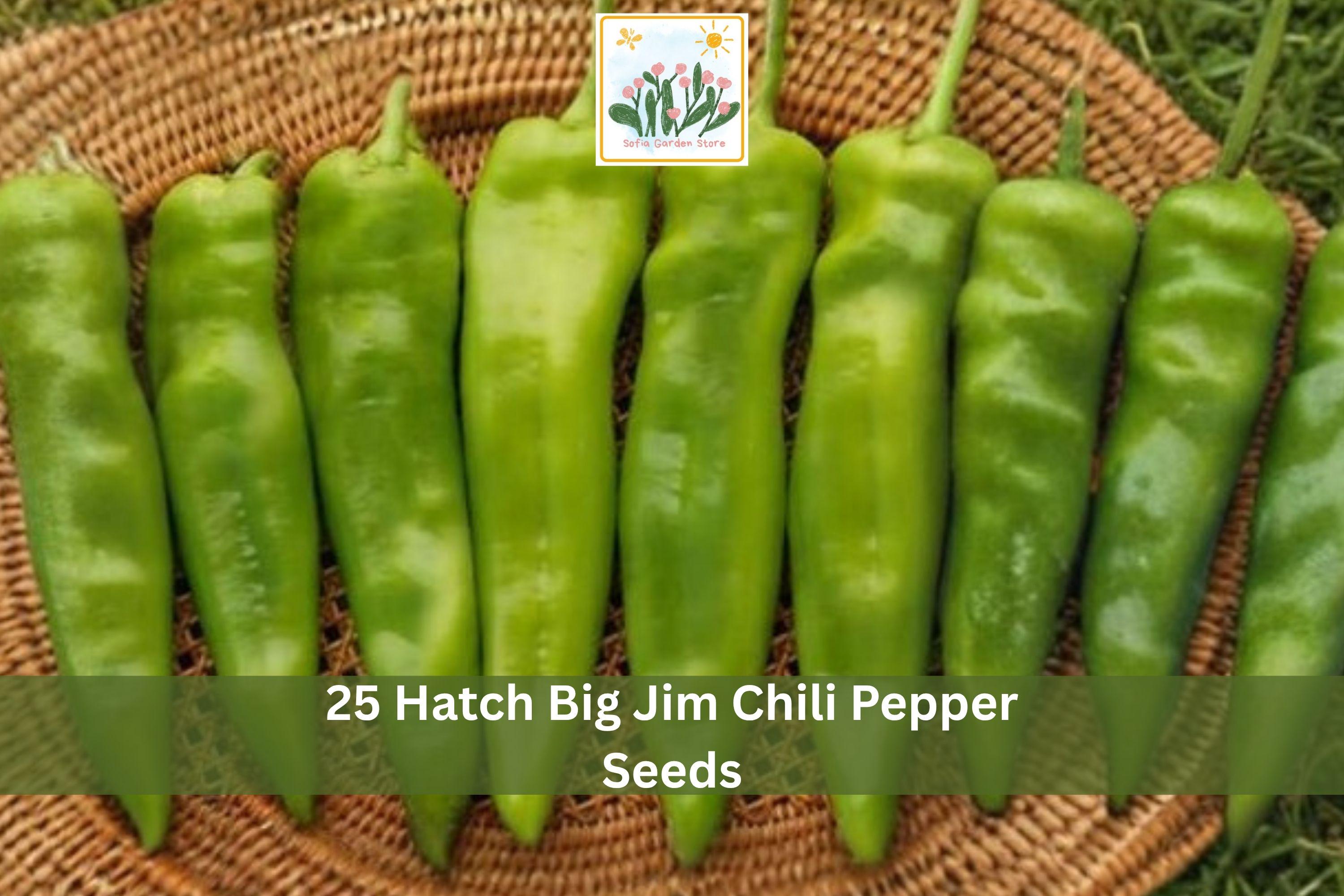 Hatch Big Jim Chili Pepper Seeds – Hot Green to Red Vegetable Seeds for Garden, Containers, Raised Beds – Capsicum annuum