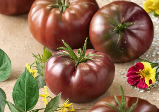 Black Krim Tomato Seeds - Heirloom Organic Non-GMO Vegetable Seeds for Garden Planting, Dark Purple, Rich Flavor