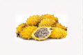 Yellow Dragon Fruit 1 Plant â€“ Selenicereus megalanthus