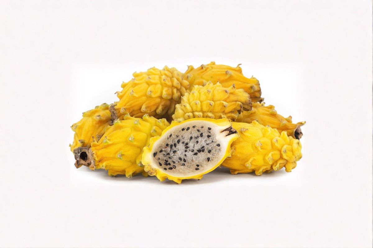 Yellow Dragon Fruit 1 Plant â€“ Selenicereus megalanthus