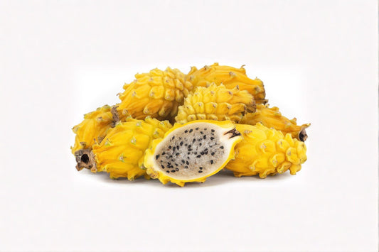 Yellow Dragon Fruit 1 Plant â€“ Selenicereus megalanthus