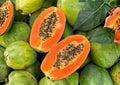 Papaya Seedling – 12-24 Inches Tall – Carica papaya Tropical Fruit Plant for Backyard, Edible Landscape & Container Growing