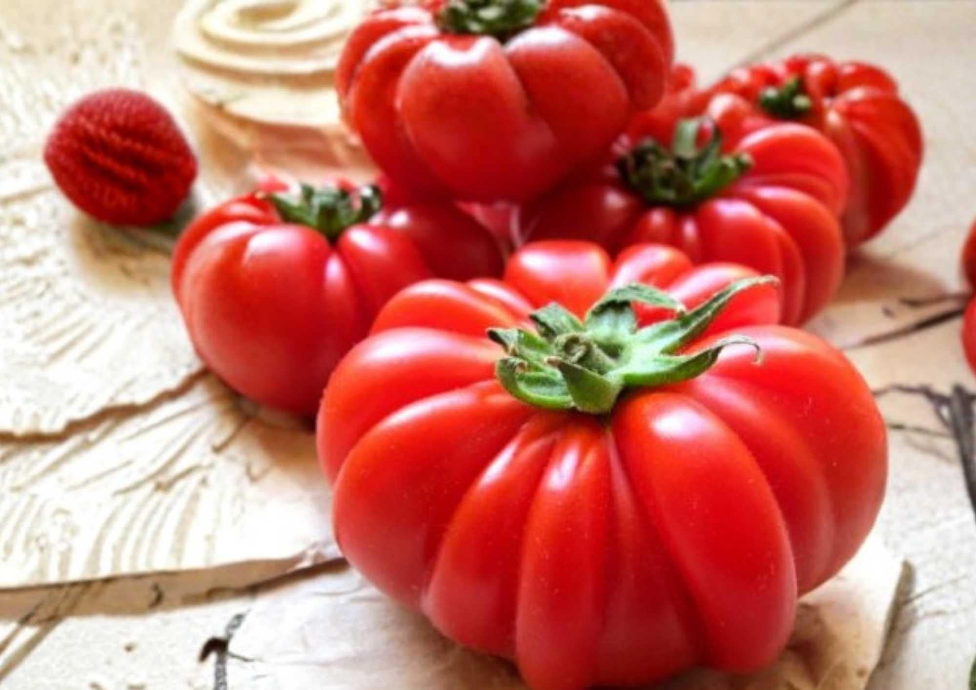 Beefsteak Tomato Seeds - Heirloom Non-GMO Vegetable Seeds for Large Juicy Red Slicing Tomatoes, High Yield Garden Planting