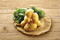 German Butterball Seed Potatoes – 3 Pounds, Heirloom Solanum tuberosum, Yellow Flesh, Edible Root Crop for Garden Planting