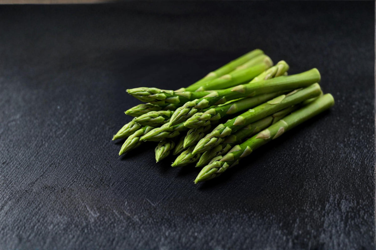 Jersey Giant Asparagus Plants - 2 Bare Root Crowns - Asparagus officinalis - Perennial Edible Vegetable for Home Garden