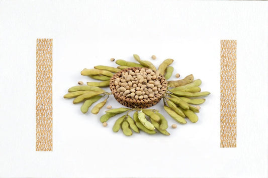 Soybean Meal 2, Glycine max, Soil Conditioner & Animal Feed, Organic Fertilizer, High-Protein Agricultural Byproduct