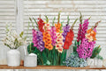 Mixed Gladiolus Bulbs – 30 Flowering Plants for Garden Beds & Borders – Gladiolus spp.