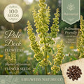 Winged Loosestrife Seeds (Lythrum alatum) – Native Wildflower for Wetlands, Rain Gardens, Naturalized Landscapes, Pollinator Friendly