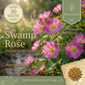 Wild Thyme Seeds (100) | Fragrant Perennial Herb with Purple Flowers | Thymus pulegioides for Culinary, Ground Cover & Pollinator Gardens
