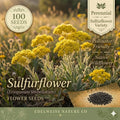 French Marigold Seeds Petite Mixture | Dwarf Tagetes Patula Annual Flower Garden Mix | 100 Seeds