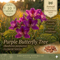 Canadian Milk Vetch Seeds (Astragalus canadensis) Native Wildflower for Prairies & Gardens, Pollinator & Soil-Enhancing Plant