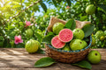 Organic Pink Strawberry Guava Seeds - Tropical Fruit Planting - Psidium cattleianum, Edible Fruit, Garden, Container