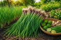 1000 Green Onion Seeds - Allium fistulosum Bunching Scallion for Kitchen Herb Garden - Fast-Germinating, Non-GMO, Indoor & Outdoor Cultivation