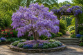 Purple Wisteria Seeds – Fragrant Climbing Vine, Wisteria sinensis for Gardens, Trellises & Vertical Gardens