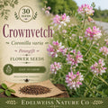 Bush's Poppy Mallow Seeds | Perennial Wildflower, Magenta Pink Flowers, Native Callirhoe bushii, Drought Tolerant Ground Cover
