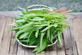 Water Spinach Seeds 500 Pack – Ipomoea aquatica, Ong Choy, Edible Leafy Vegetable for Warm Climate Gardens