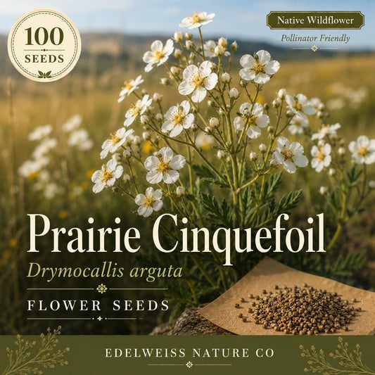 Yellow Wood Sorrel Seeds, Oxalis stricta, Low-Growing Ground Cover, Edible Lemon Clover, Wild Herb, Fast Spreading Plant