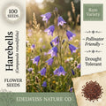 Wild Bergamot Seeds (Monarda fistulosa) – Native, Fragrant Lavender Wildflower for Pollinator Gardens