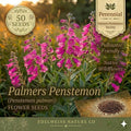Rose Mallow Dwarf Mix Seeds – Lavatera trimestris Annual Flowers, Compact Growth, Mixed Colors, Easy to Grow