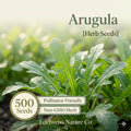 Switchgrass Seeds 100 Pack | Panicum virgatum Native Warm-Season Grass for Prairie Restoration & Erosion Control