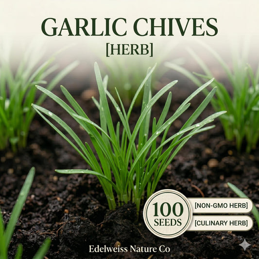 White Sweet Clover Seeds (Melilotus alba) – Pollinator-Friendly Cover Crop & Nitrogen Fixing Plant