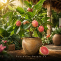 Rose of Sharon Seeds, Hibiscus syriacus, Ornamental Flowering Shrub, Deciduous Garden Plant, 10 Seeds