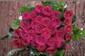 Pretty N Pink Rose 3 Cuttings â€“ Rosa hybrid