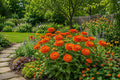 100 Orange Zinnia Seeds - Heirloom Zinnia elegans for Bright Garden Flowers, Butterfly & Bee Attracting, Easy to Grow