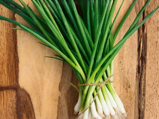 15 Seeds New England Pie Pumpkin Cucurbita pepo for Baking, Fall Harvest, Pies, and Halloween Decor