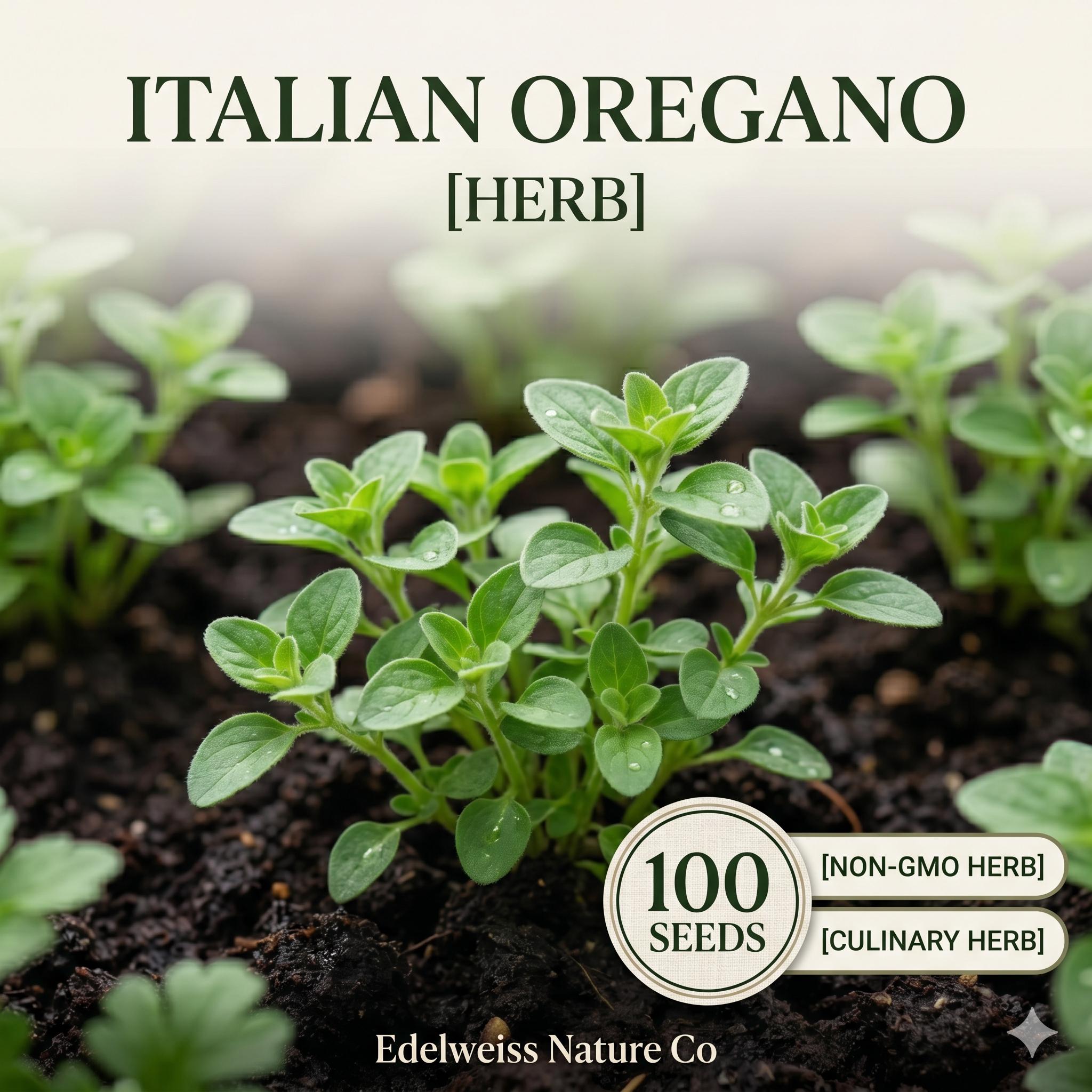 Sweet Everlasting Seeds 500 Pseudognaphalium obtusifolium Dried Wildflower for Pollinator Gardens & Natural Landscapes