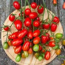San Marzano Tomato Seeds 100 mg | Heirloom Italian Paste Tomato for Planting | Solanum lycopersicum