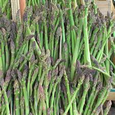 10 Jersey Giant Asparagus Bare Root Crowns | 2-Year High Yield | Cold Hardy Asparagus | Asparagus officinalis 'Jersey Giant'