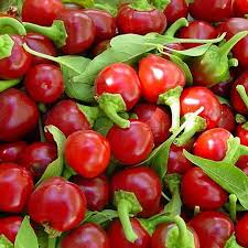 30 Seeds Large Cherry Hot Pepper, Sweet & Spicy Capsicum annuum, Ideal for Salsa, Salads, and Hot Sauces