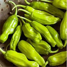 30 Seeds Golden Greek Pepperoncini - Mild Pepper, Yellow-Green, Capsicum annuum for Pickling and Culinary Use