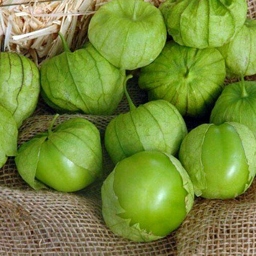 Tomatillo Verde Seeds 100 mg - Physalis philadelphica - Fresh Mexican Husk Tomatoes for Salsa & Cooking