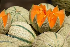10 Charentais Melon Seeds - Organic Heirloom French Cantaloupe - Sweet & Fragrant - Cucumis melo var. cantalupensis