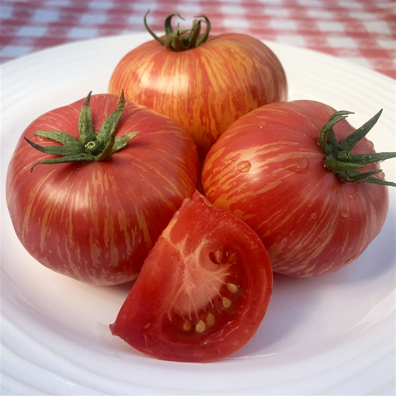 30 Vintage Wine Tomato Seeds, Heirloom Striped Pink & Gold, Solanum lycopersicum, Juicy Beefsteak for Fresh Eating