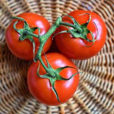 Floradade Tomato Seeds | Heirloom, Heat-Tolerant | Solanum Lycopersicum | Non-GMO, Ideal for Warm Climates