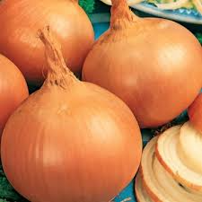 250mg Burrell's Yellow Valencia Onion Seeds | Allium cepa | Sweet Globe, Non-GMO, High Yields, Storage-Ready Variety