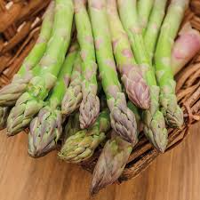 Bare Root Plants Jersey Giant Asparagus Crowns, 2-Year, Asparagus officinalis, High-Yield, Disease-Resistant Garden Vegetable