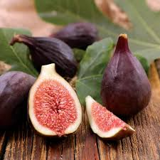100+ Violette de Bordeaux Fig Seeds | Ficus carica | Sweet Dark Figs for Garden & Home | French Heirloom Variety