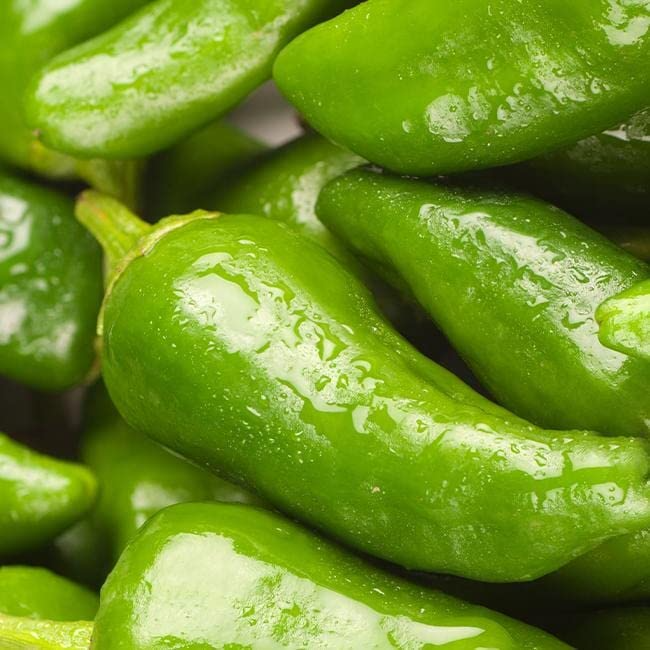 10 Seeds Padron Pepper, Mild Flavorful Spanish Pepper (Capsicum annuum) - Ideal for Containers and Tapas Cooking